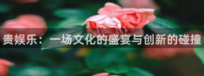 安信12注册登录