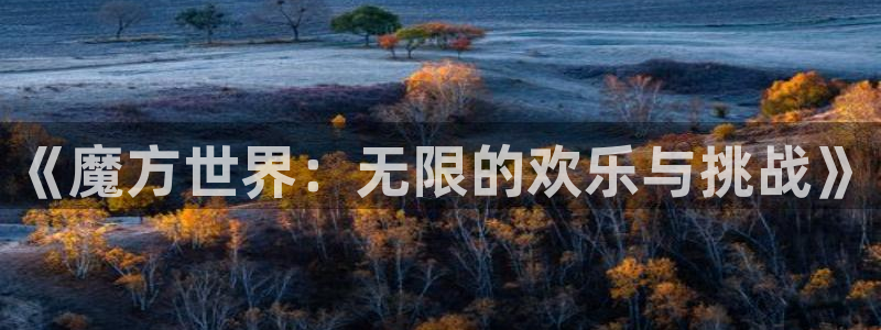 安信12