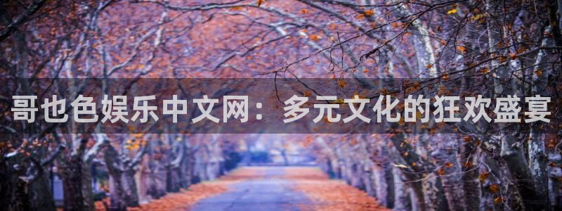 安信12最新版本更新内容