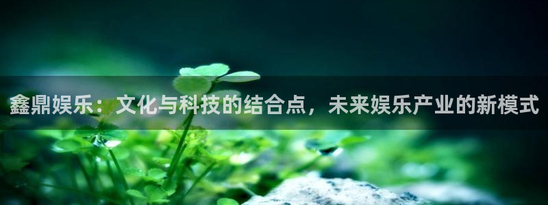 安信12