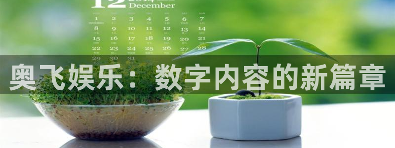 安信12
