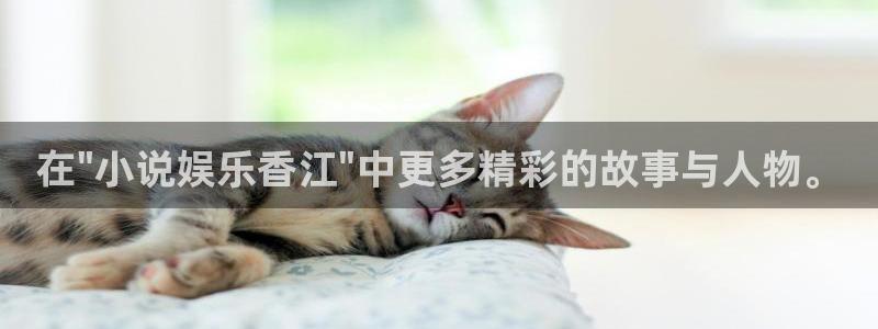 安信娱乐